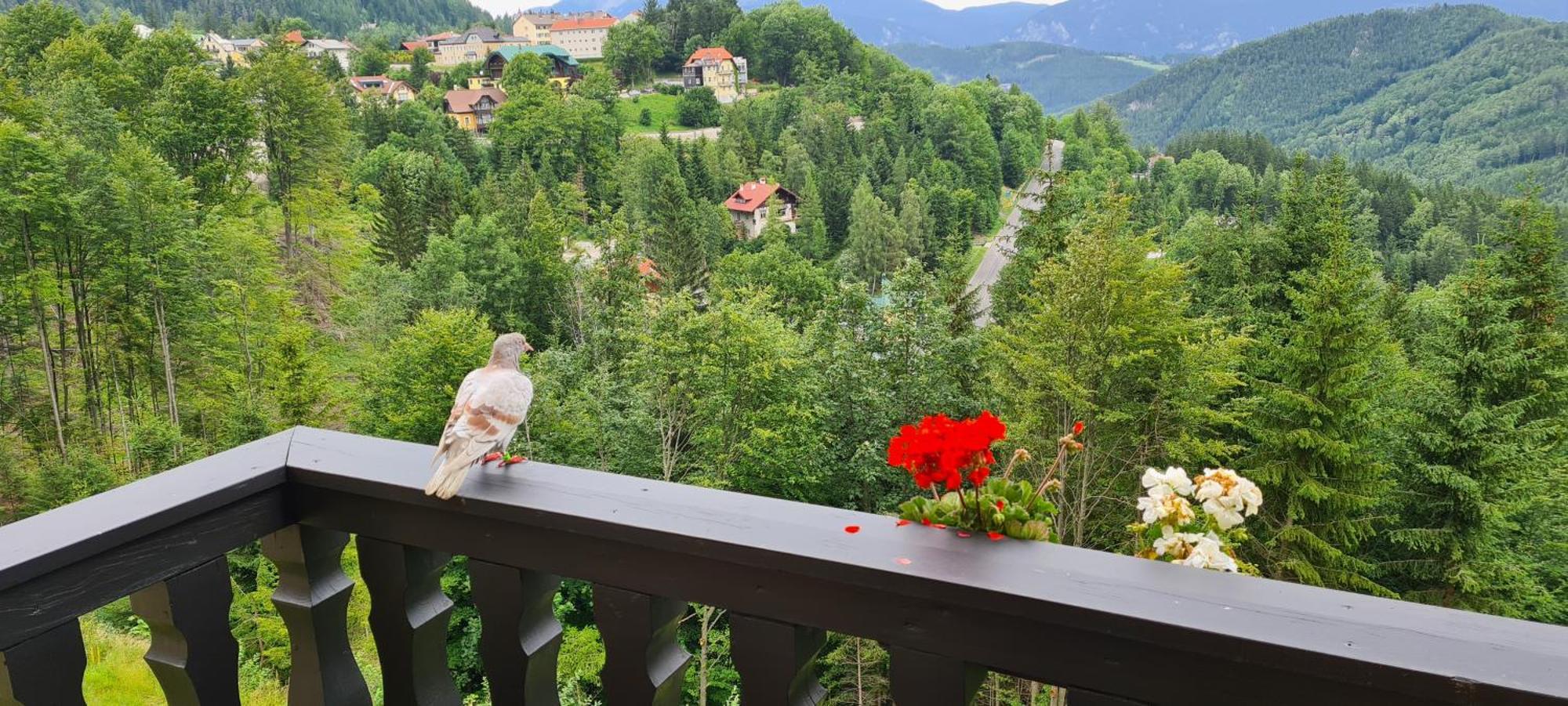 Kurhotel Renona Rehabilitation Semmering Eksteriør billede