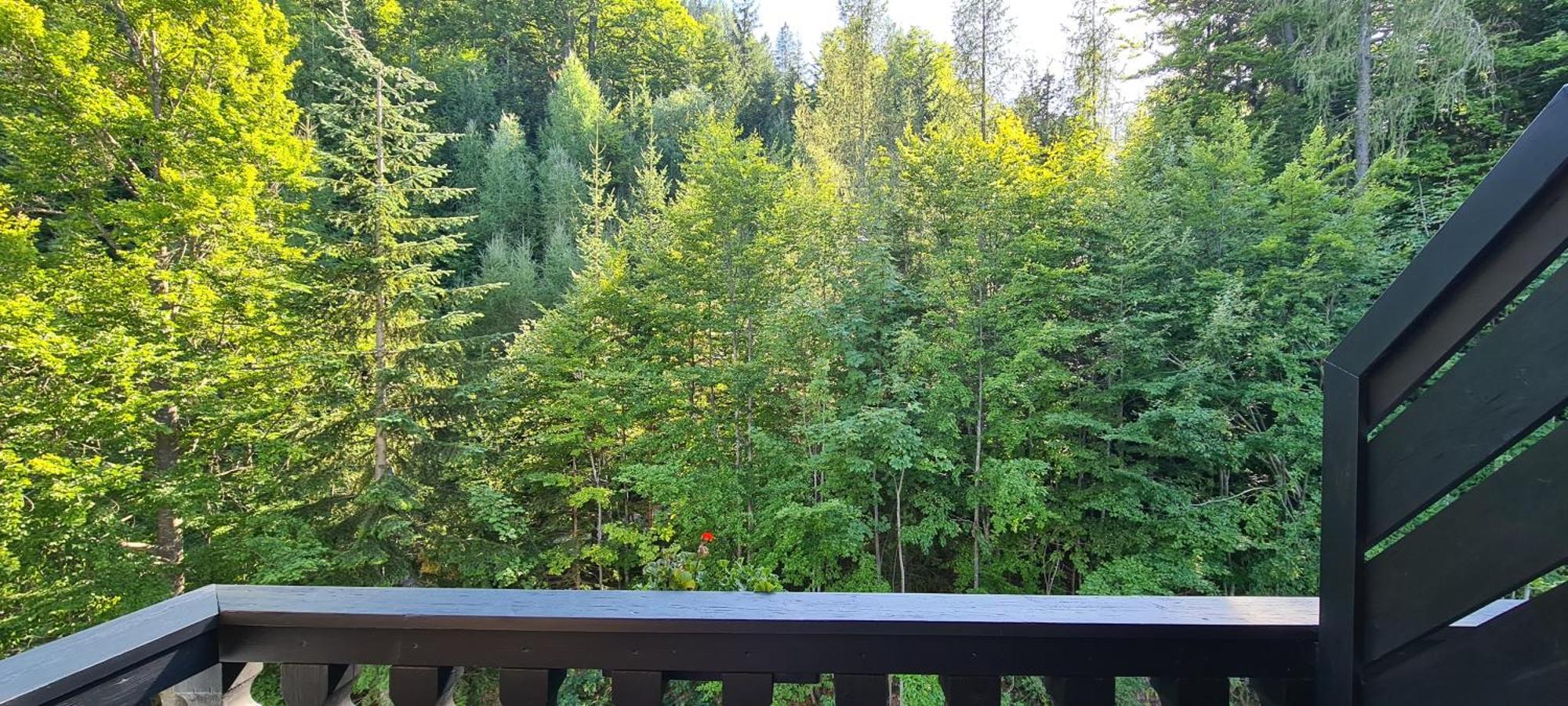 Kurhotel Renona Rehabilitation Semmering Eksteriør billede